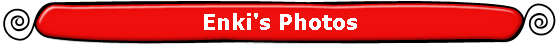 Enki's Photos