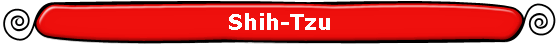 Shih-Tzu